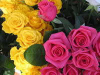 Fondo de pantalla Roses Bouquet