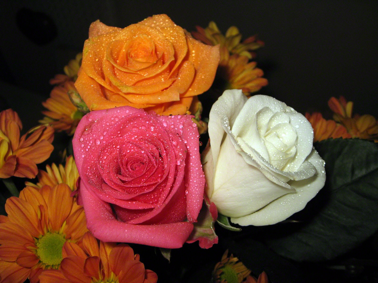 http://www.fabiovisentin.com/photography/photo/12/roses-wallpaper-roses-bouquets4485.JPG