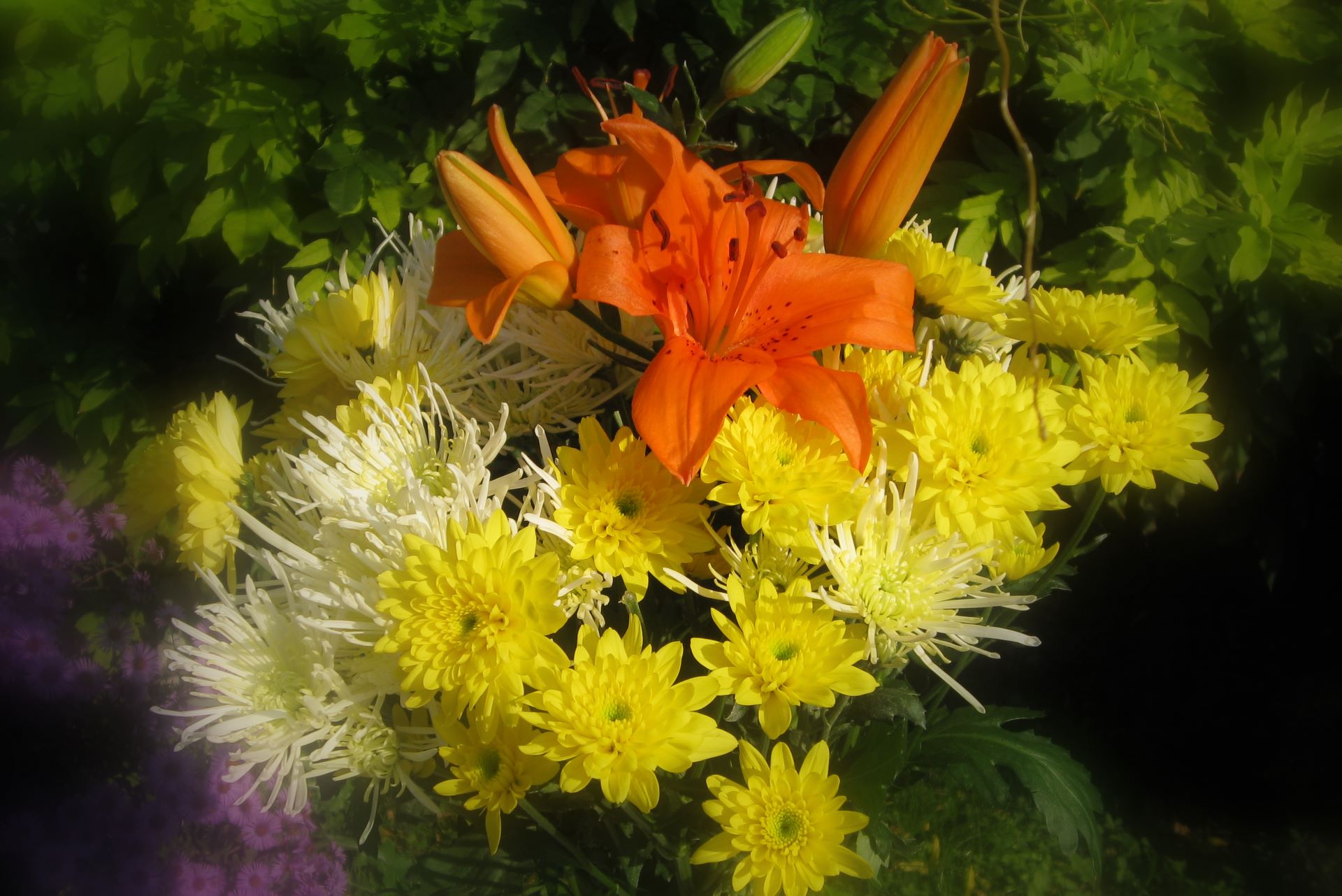 Lilium bouquet wallpaper Photo : download Full High resolution