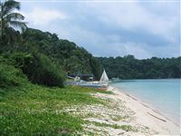 Ilig Iligan Beach vegetation 