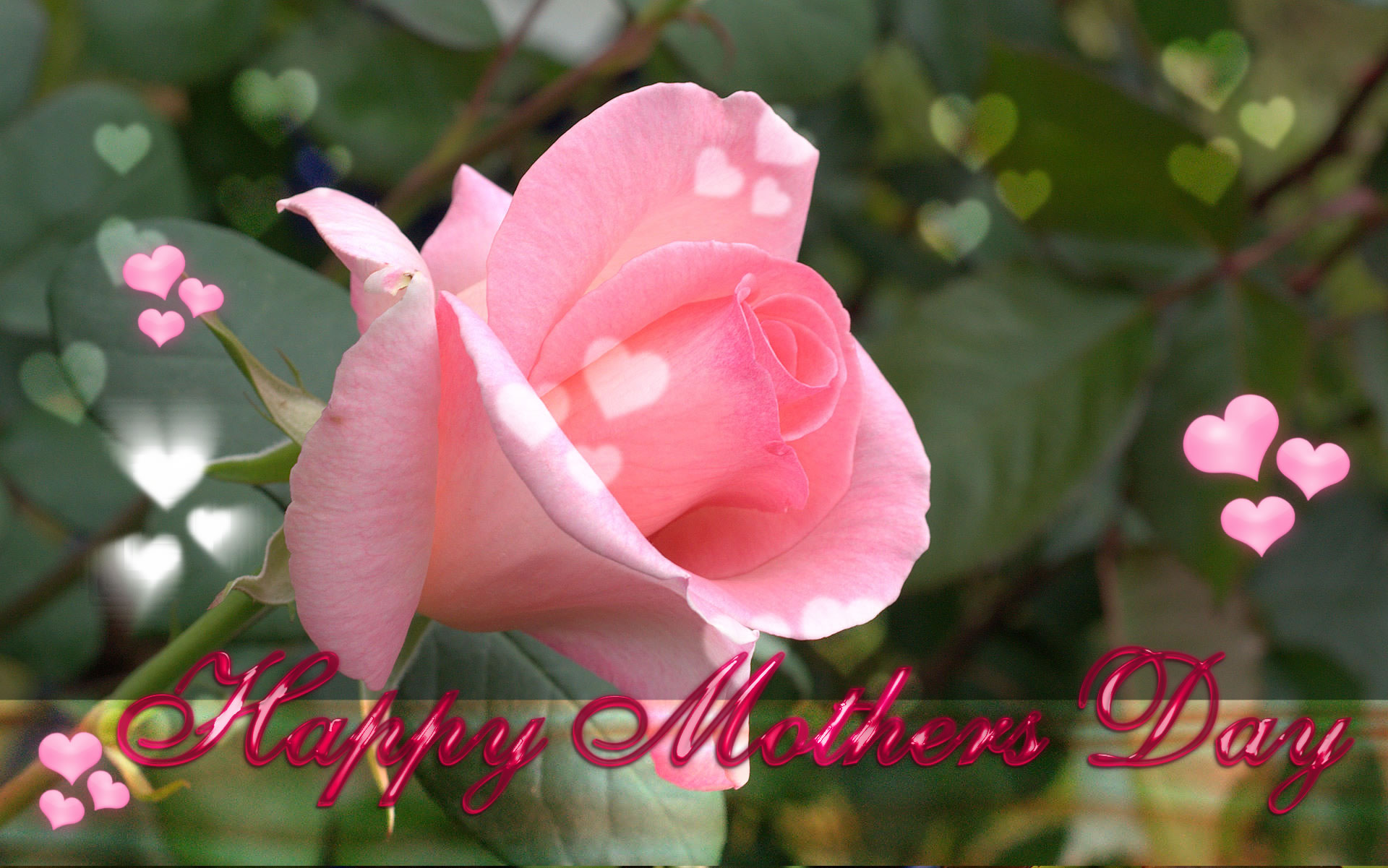Mother Day wallpaper