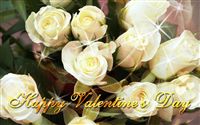 Happy Valentine's Day white roses 