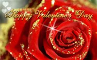 Happy Valentine's Day red rose 