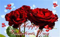 Rose Happy Valentine's Day ecard 