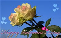 Roses Happy Valentine's Day ecard 