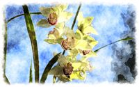 Orchid watercolor painting 