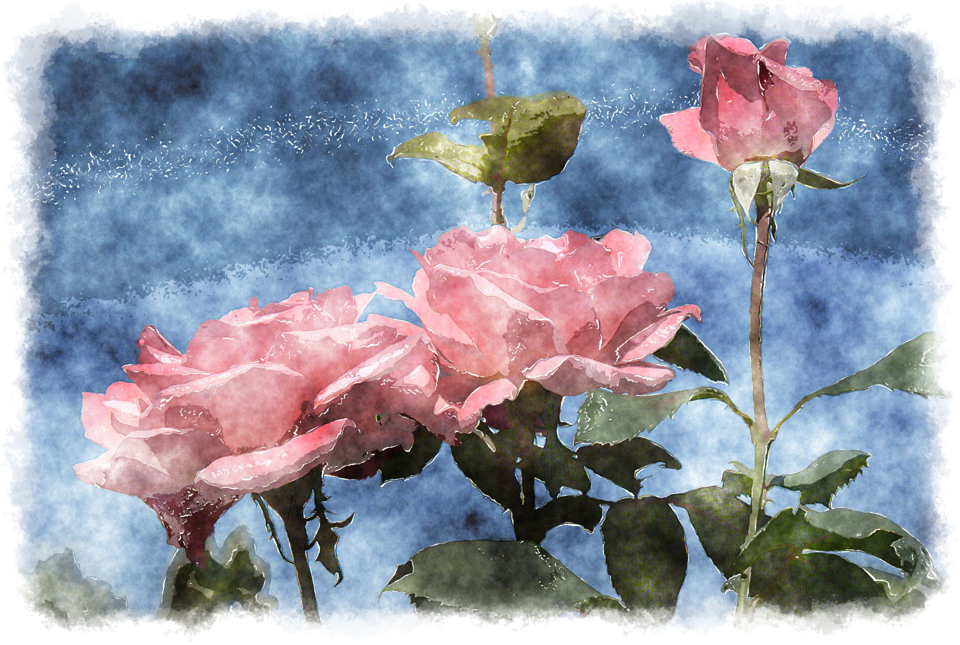 Watercolor roses, watercolor painting of beautiful rose - a collection of  watercolor roses, ready