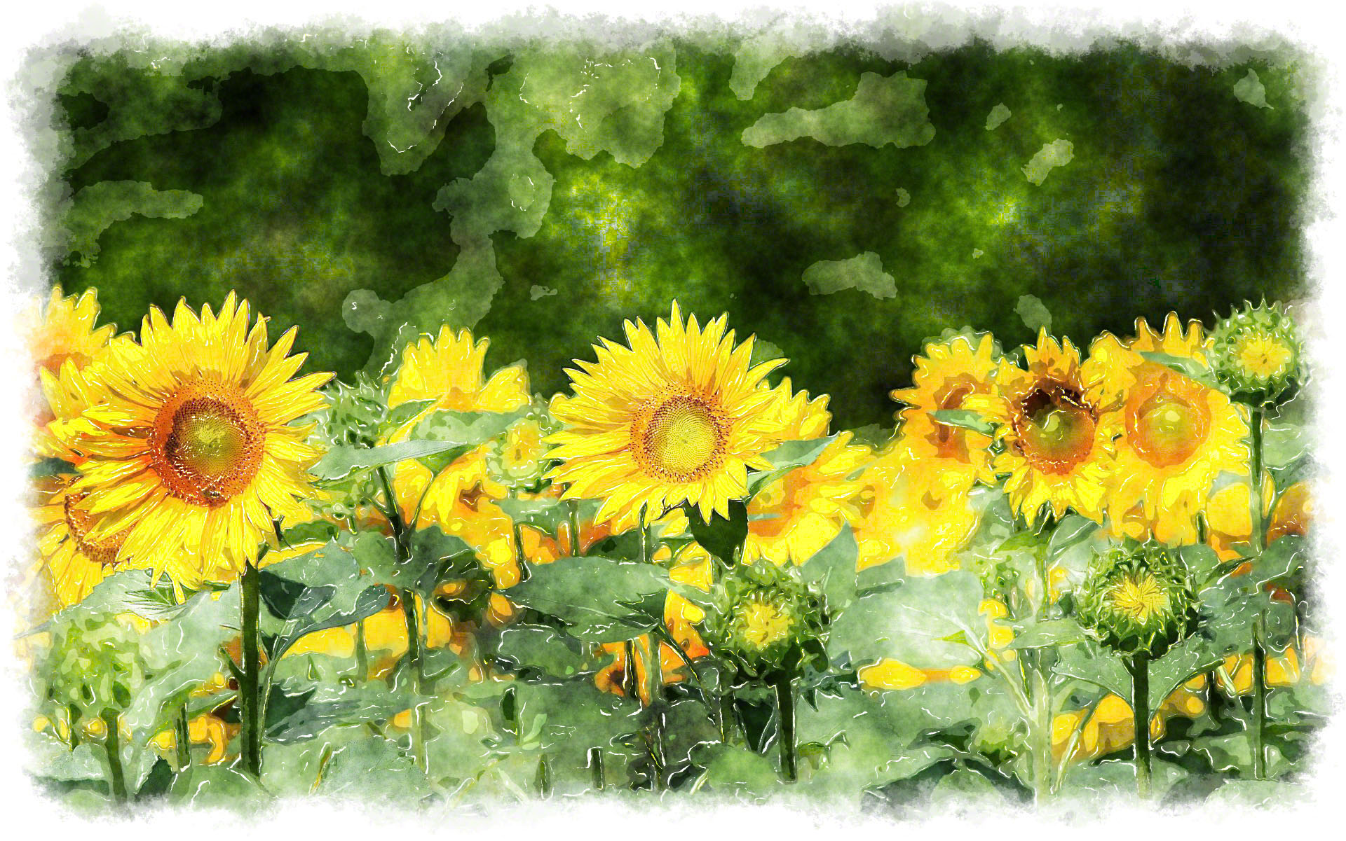 sunflower paintings