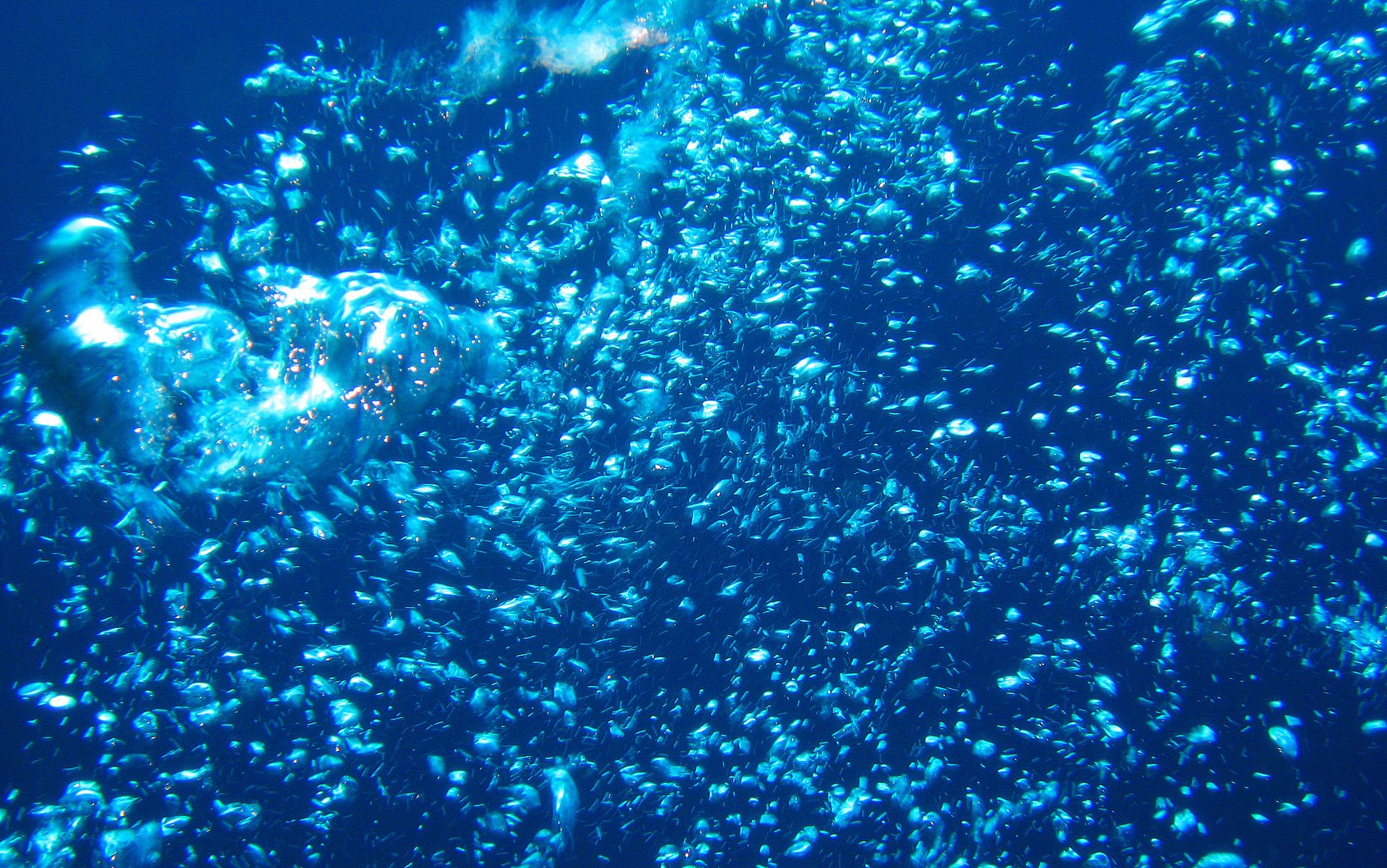 underwater bubbles wallpaper high resolution 1920x1200 pixel for 16:10 